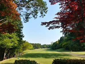 その他環境写真