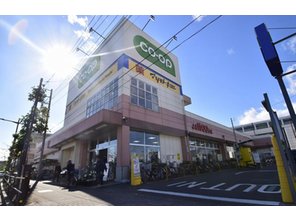 ドラッグストア