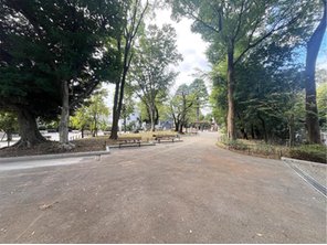 公園