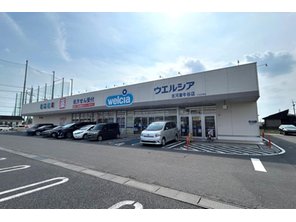 ドラッグストア