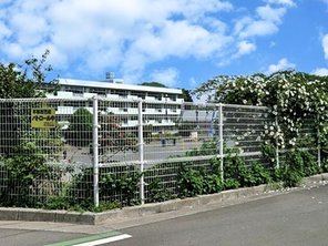 小学校