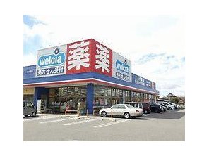 ドラッグストア