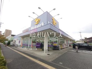 ドラッグストア