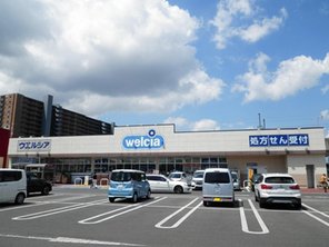 ドラッグストア