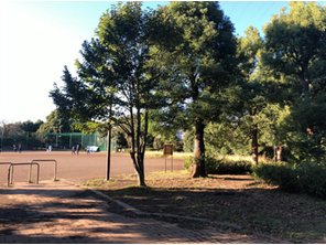 公園