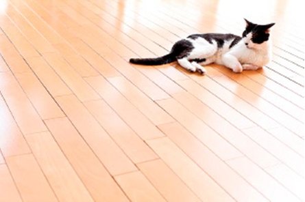 ダイアパレス上所駅前の取材レポート画像