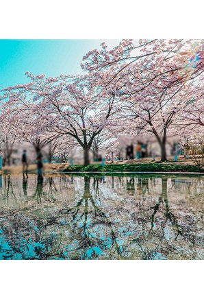 ダイアパレス白山の周辺環境の特徴画像