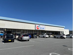 ドラッグストア