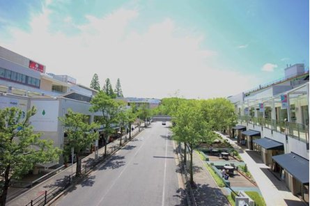 プレサンス ロジェ 星ヶ丘駅前の取材レポート画像