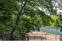 ファミリアーレ熱田神宮公園の周辺環境の特徴画像