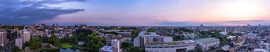 アネシア隼人池公園の取材レポート画像
