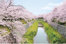 オープンレジデンシア瑞穂桜山の周辺環境の特徴画像