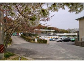 幼稚園・保育園