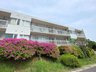 静岡県熱海市網代 / 770万円