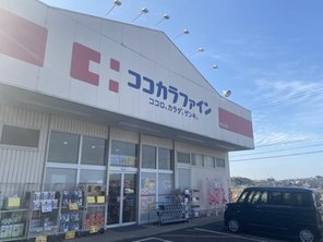 ドラッグストア