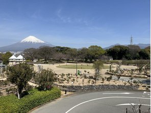 公園