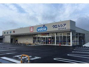 ドラッグストア