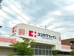 ドラッグストア