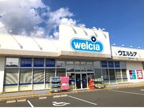 ドラッグストア