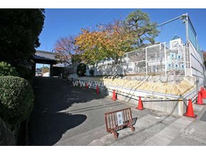 幼稚園・保育園