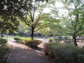 公園