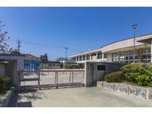 幼稚園・保育園