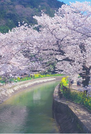 ウィルローズ京都御陵の周辺環境の特徴画像