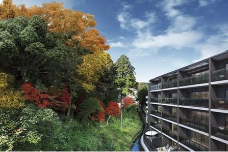 ウィルローズ京都御陵の取材レポート画像