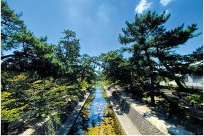 ジオ夙川公園の周辺環境の特徴画像