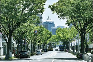 シエリア堺東大小路の周辺環境の特徴画像