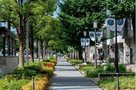 ローレルコート姫路大手前通りの取材レポート画像