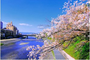 ザ・パークハウス 京都河原町の周辺環境の特徴画像