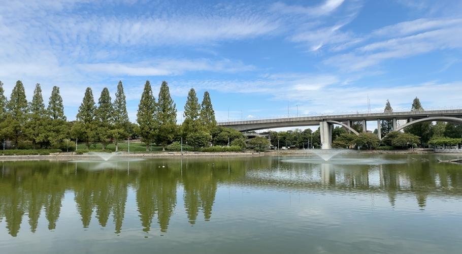 OSAKA MVP Projectの取材レポート画像