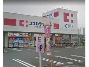 ドラッグストア