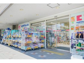 ドラッグストア