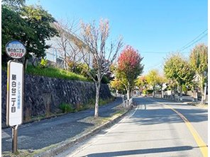 その他環境写真