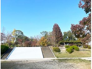 公園
