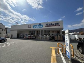 ドラッグストア