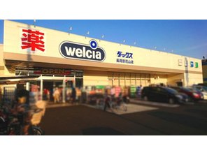 ドラッグストア