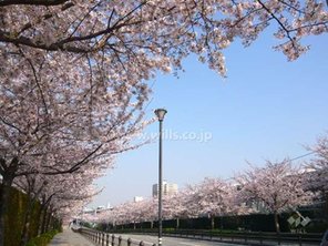 その他環境写真