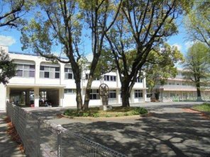 幼稚園・保育園