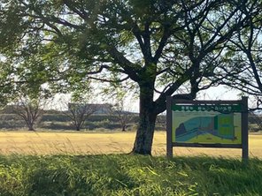 その他環境写真