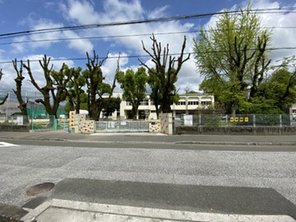 幼稚園・保育園