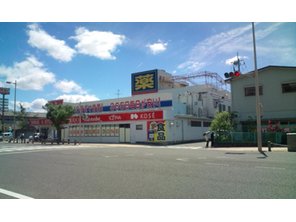 ドラッグストア