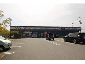 ドラッグストア