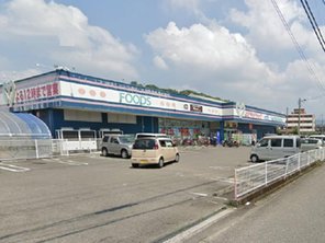 ドラッグストア