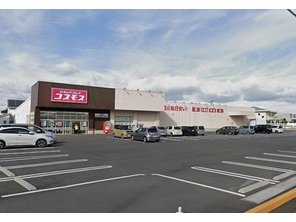 ドラッグストア