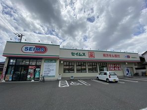 ドラッグストア