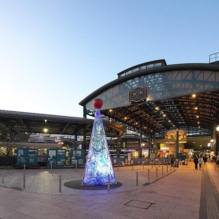 ザ・ライオンズ横川の取材レポート画像