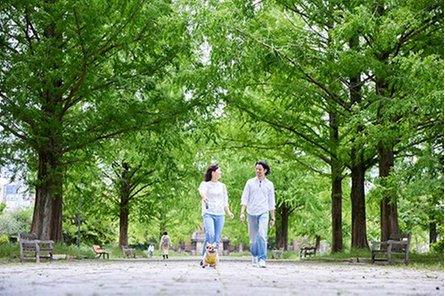 プレディア広島大手町の取材レポート画像